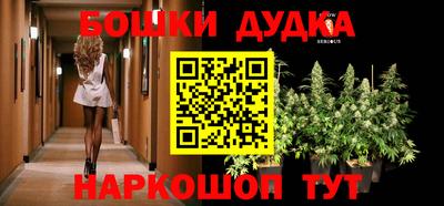 гидра Волгодонск