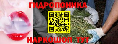 молекула духа Гай