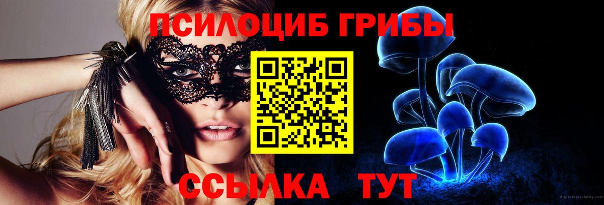 Галлюциногенные грибы ЛСД Пугачёв